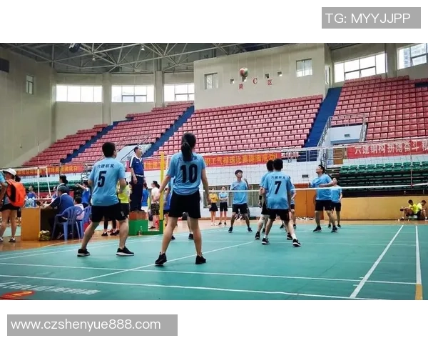 杭州排球队成长之路：一段关于拼搏与团结的排球纪实故事